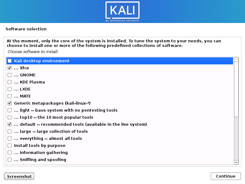 Kali 2020.1: software selection at install time