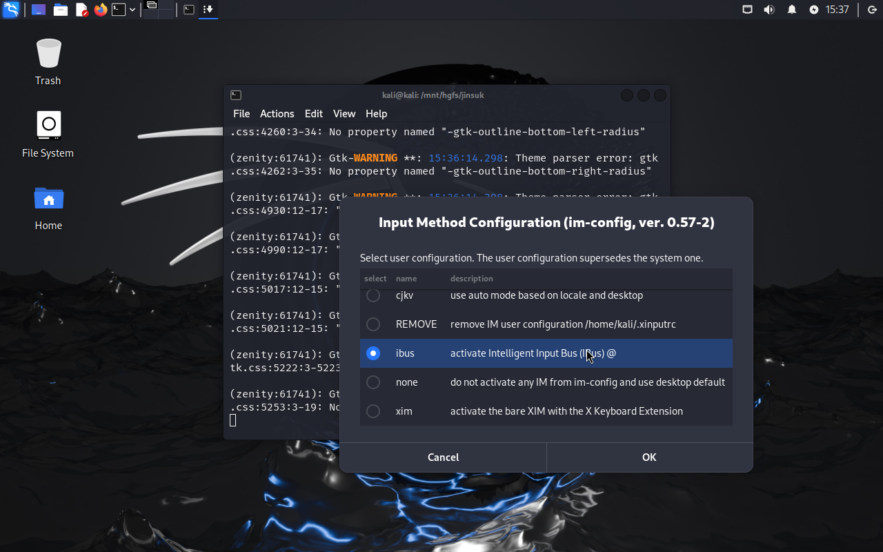 input method configuration as ibus with im-config tool